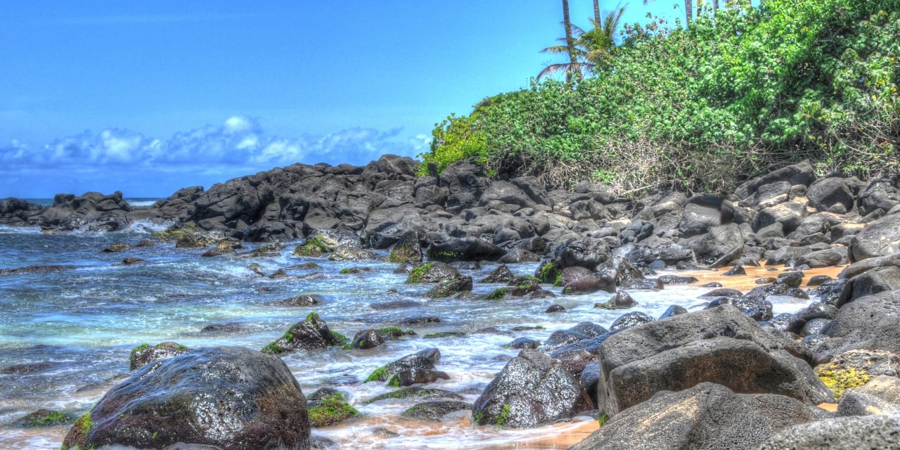 Laniakea Beach – OAHU, Hawaii